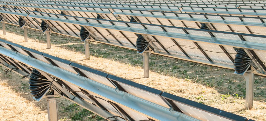 sunfolding solar trackers on panel farm